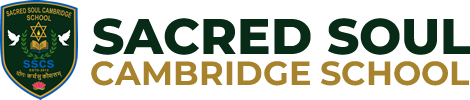 Best CBSE School in Kangra |Sacred Soul Cambridge School 